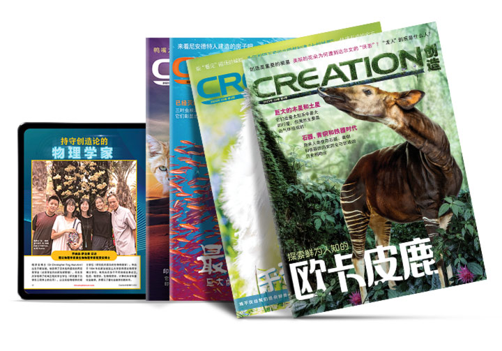 《创造》杂志过刊 纸质版和电子版