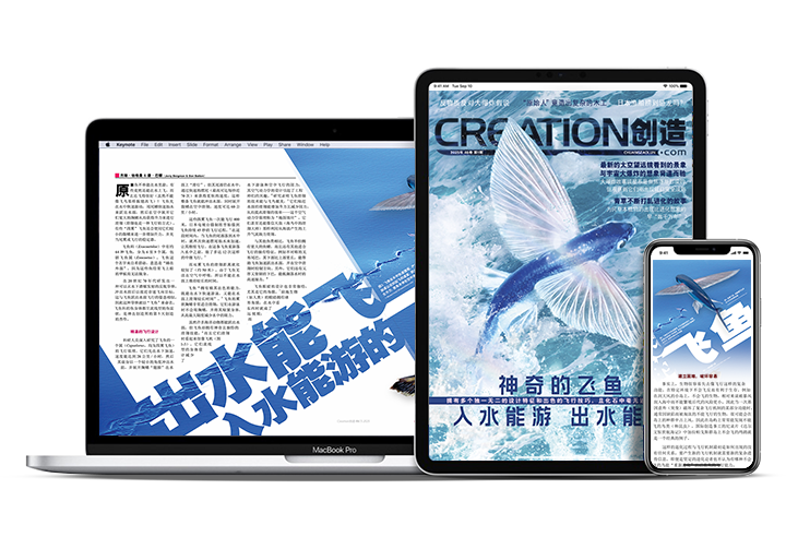 《创造》杂志中文版