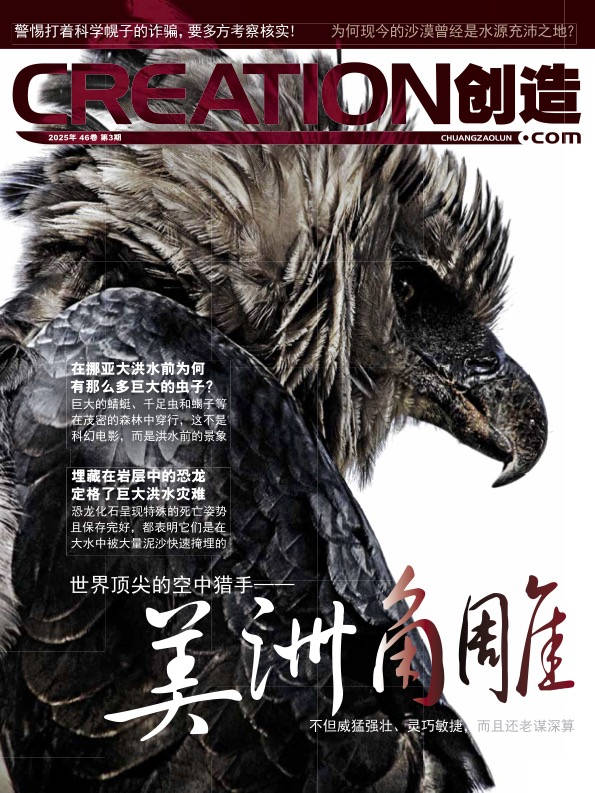 《创造》杂志46卷第3期