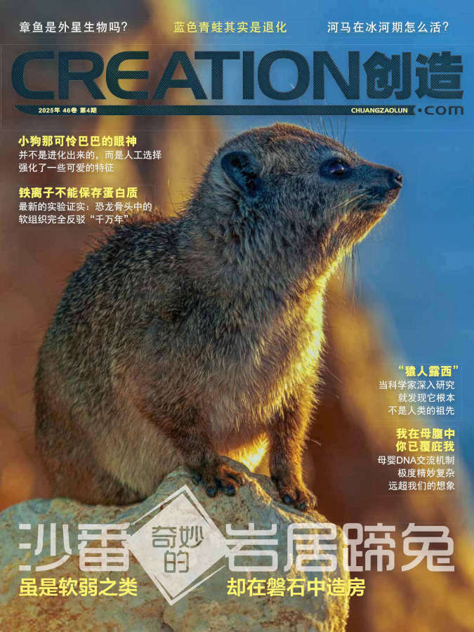 《创造》杂志46卷第4期