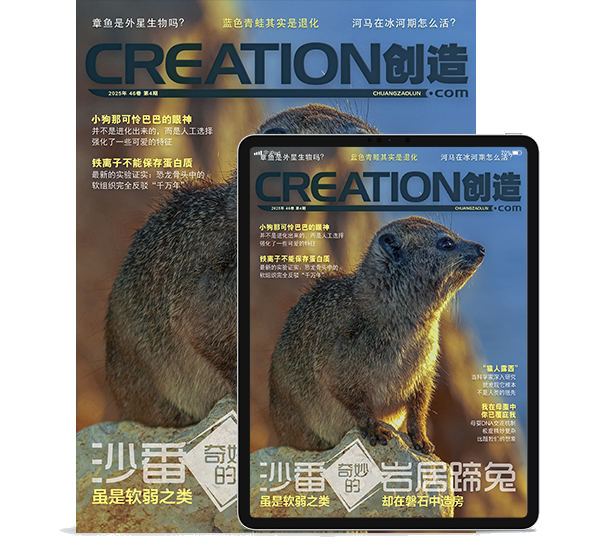 《创造》杂志第46卷第4期