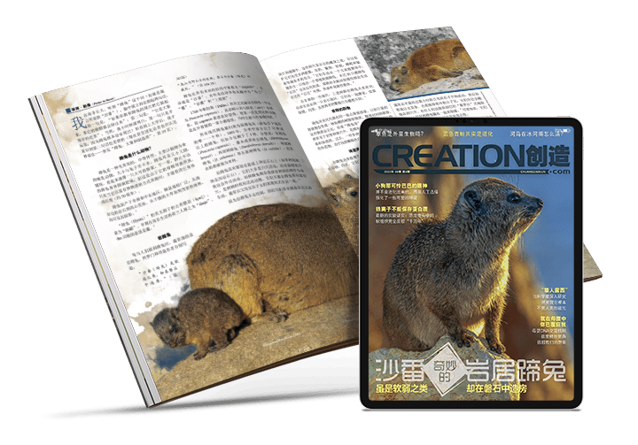 2026《创造》杂志纸质版和电子版