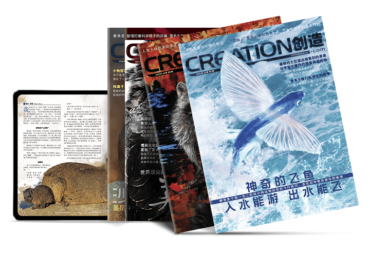 《创造》杂志过刊 纸质版和电子版