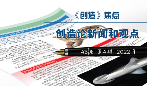 《焦点》—创造论新闻和观点