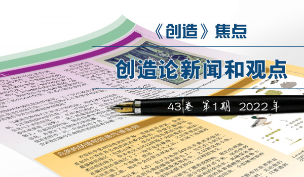 《创造》焦点
