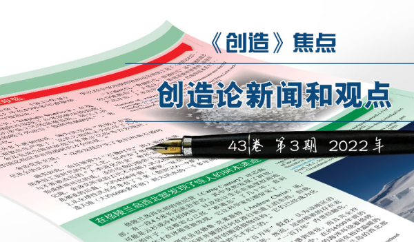 《焦点》—创造论新闻和观点