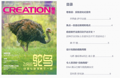 目录-第41卷第4期